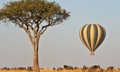 Hot Air Balloon in Mara